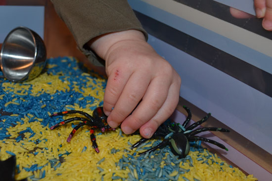 Can you believe we had spiders hiding in our sensory tub??!!