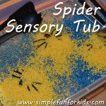 Can you believe we had spiders hiding in our sensory tub??!!