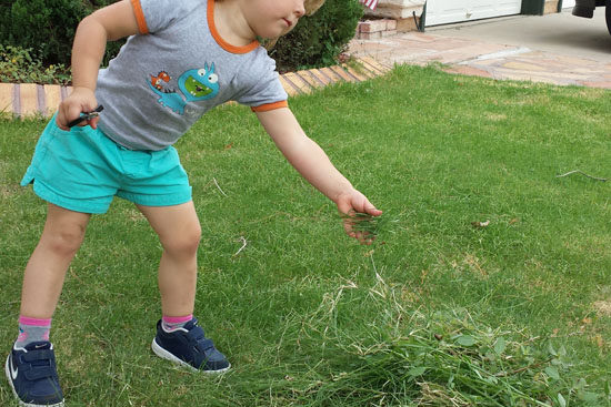 Yes, that's right - let your child help cut the grass!