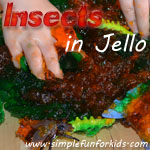 Sensory toddler fun with plastic insects stuck in jello!