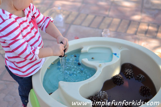 Fun fall water table play with pine cones and acorns!