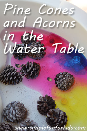 Fun fall water table play with pine cones and acorns!