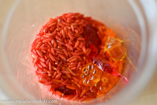 Lots of fun with a simple and pretty fall rice sensory bin!