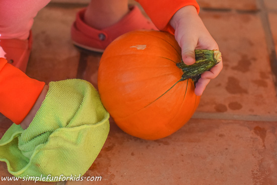 Pumpkin washing: A simple and useful sensory activity!