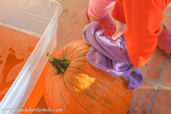 Pumpkin washing: A simple and useful sensory activity!