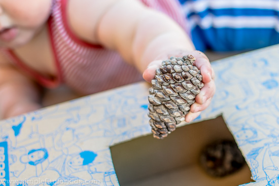 Baby Activities: Fun with a simple homemade pine cone drop activity!