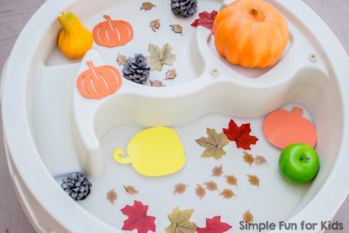 Sensory Activities for Kids: Wet and Dry Fall Sensory Table - fun with water and fall themed items!
