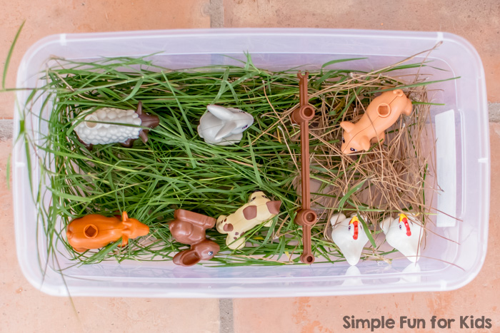 Simple Sensory Activities for Toddlers: Farm Animal Sensory Bin with Real Grass!