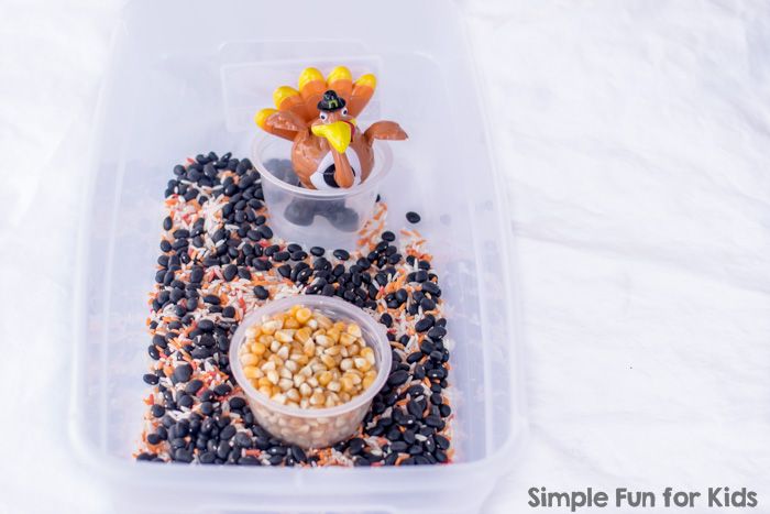 Get your little one in the mood for Thanksgiving with this cute and simple Thanksgiving Sensory Bin! Perfect for toddlers, and my older preschooler still loved the feel of the bean, rice, and corn mixture in her hands!