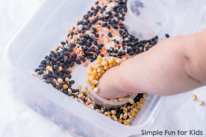 Get your little one in the mood for Thanksgiving with this cute and simple Thanksgiving Sensory Bin! Perfect for toddlers, and my older preschooler still loved the feel of the bean, rice, and corn mixture in her hands!