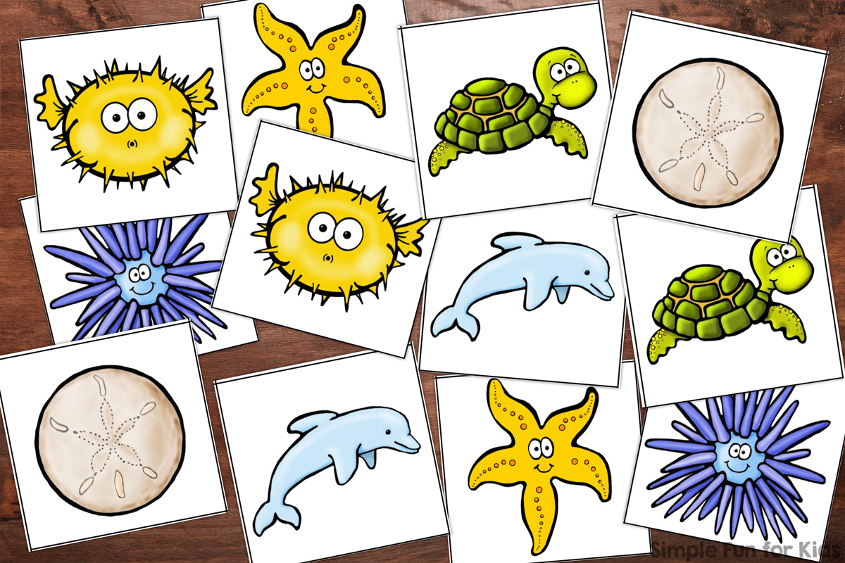 Memory cards showing 2 yellow blowfish, two green tortoises, 2 beige sand dollars, 2 blue sea urchins, 2 light blue dolphins, and 2 yellow starfish on top of a brown wooden desktop.