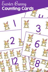 Practice counting and 1:1 correspondence with these cute printable Easter Bunny Counting Cards! My toddler loves them, but they're also great for preschoolers and kindergarteners - anyone who's just learning to count.