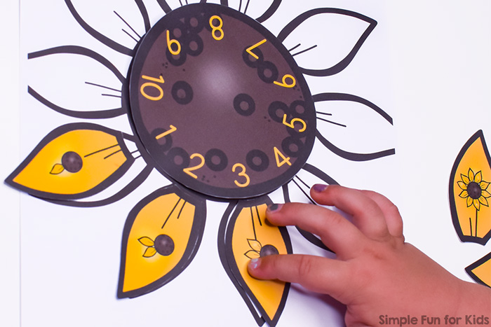 Practice counting and number recognition with this cute Sunflower Petal Counting Puzzle! Great for preschoolers and kindergarteners and part of the 7 Days of Sunflower Printables for Kids series (day 1).
