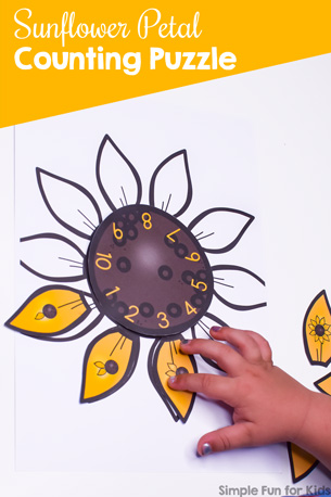 Sunflower Petal Counting Puzzle