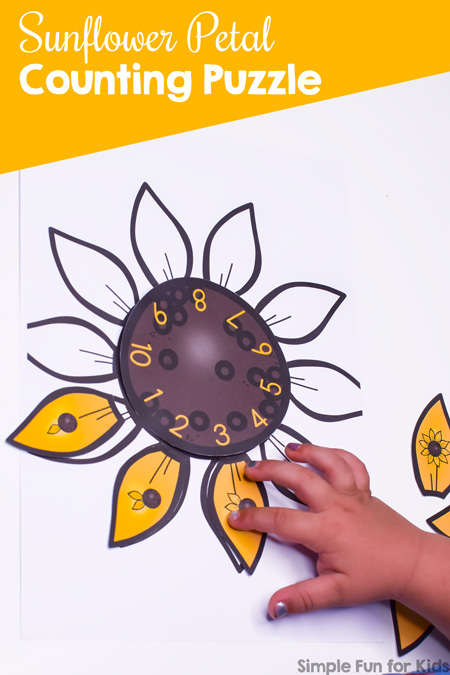 Practice counting and number recognition with this cute Sunflower Petal Counting Puzzle! Great for preschoolers and kindergarteners and part of the 7 Days of Sunflower Printables for Kids series (day 1).