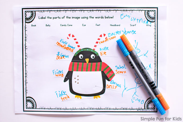 Winter Penguin Labeling Worksheets: Label the parts of the image by handwriting or cutting and pasting. Includes versions with and without a wordbank.