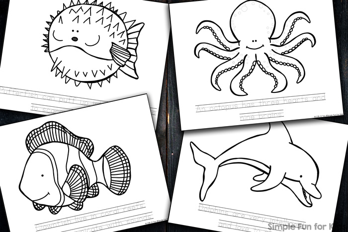 Ocean Creatures Facts & Coloring Pages - Simple Fun for Kids