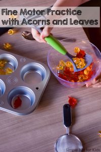 I set this up for my toddler, but my kindergartener just had to make it a sibling activity: Fall Fine Motor Practice with Acorns and Leaves! Muffin tins are so awesome for sensory and fine motor activities!