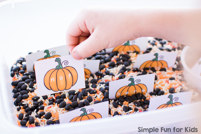Flash cards for learning sight words? How boring! Not if you stick them in a box and make a simple Sight Word Pumpkin Patch Sensory Bin with rice and beans! My preschooler had lots of fun with it!