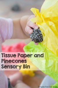 Sensory toddler fun and open-ended exploration with everyday items in a tissue paper and pine cones sensory bin!